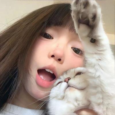 就职战线没有异状海报